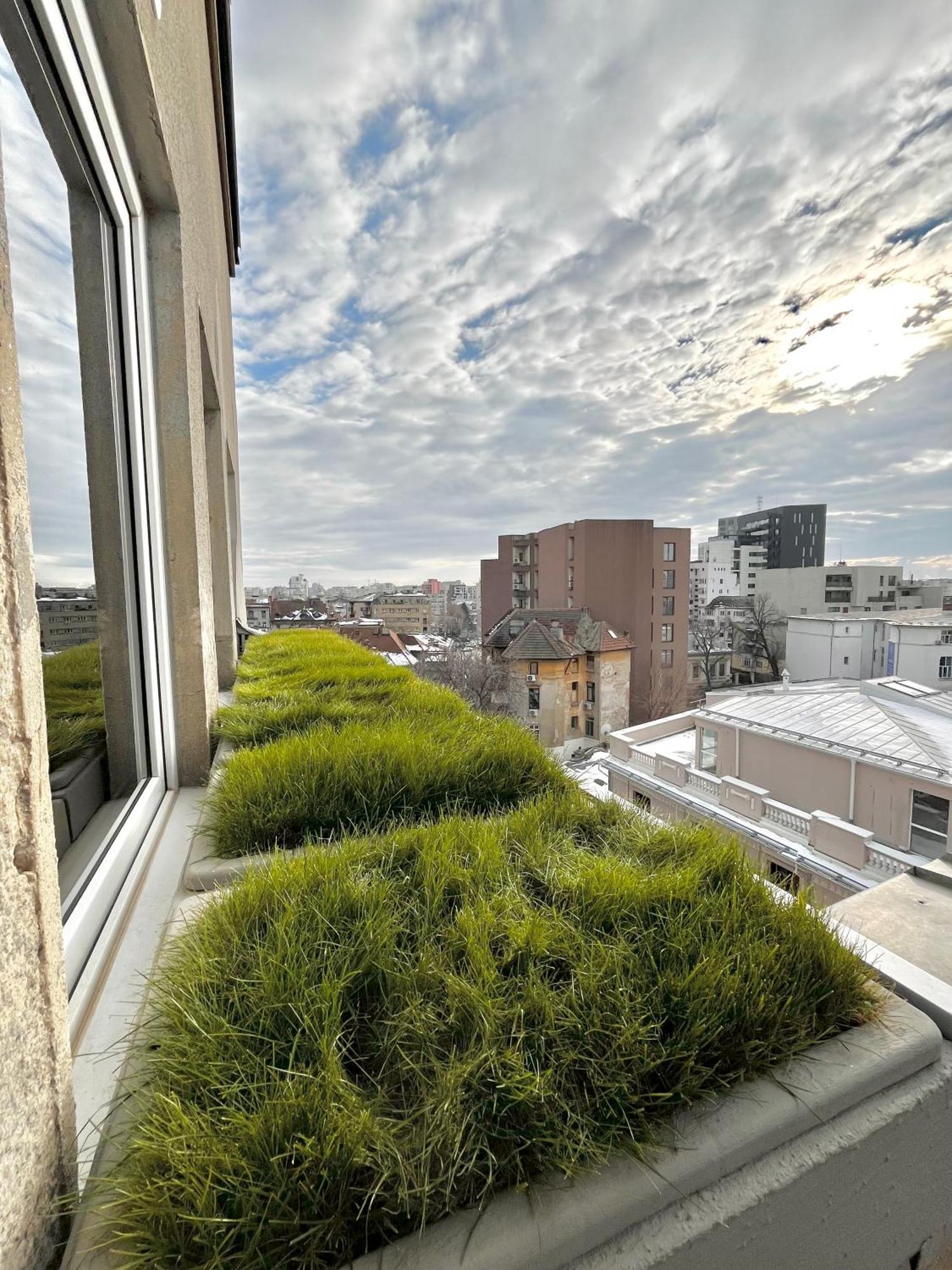 Terrace View Downtown Studio Bucharest Luaran gambar